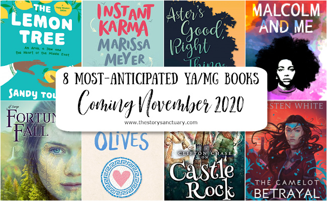 Most-Anticipated Books Out November 2020